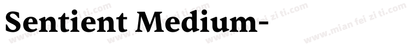 Sentient Medium字体转换